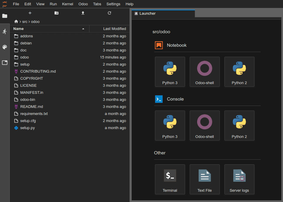 Vista general del editor en línea