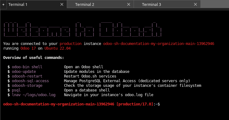 La pestaña de shell de las ramas.