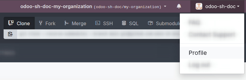Acceder al perfil del usuario