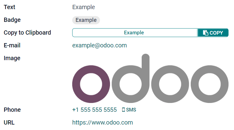 Captura de pantalla con ejemplos de campos de texto con diferentes widgets.